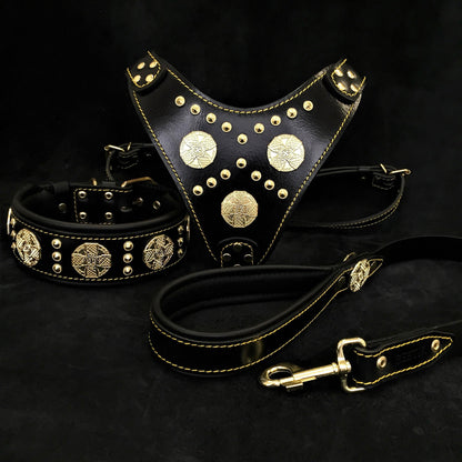 "Maximus Black" BIG dog SET- Harness - collar - lead. Brass rivets - Tampa Home & Garden Store