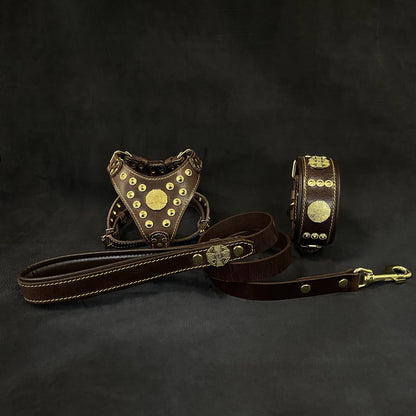 "Maximus Brown&Gold" Small dog SET - Harness - collar - lead - Tampa Home & Garden Store