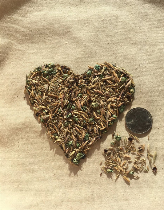 Meadowscaping Mix Alternative Lawn Seed - Tampa Home & Garden Store