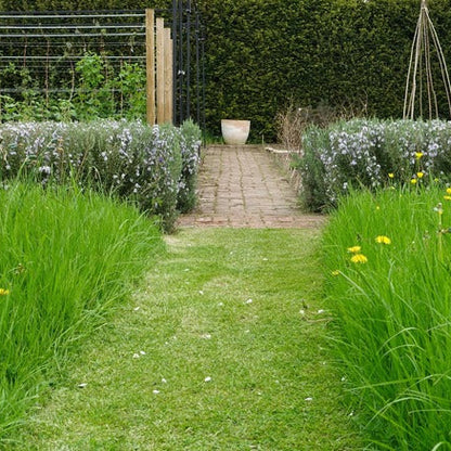 Soil testing is our pathway to soil health. Tampa Home & Garden Store.