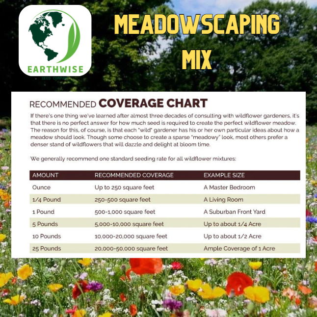 Meadowscaping Mix Alternative Lawn Seed - Tampa Home & Garden Store