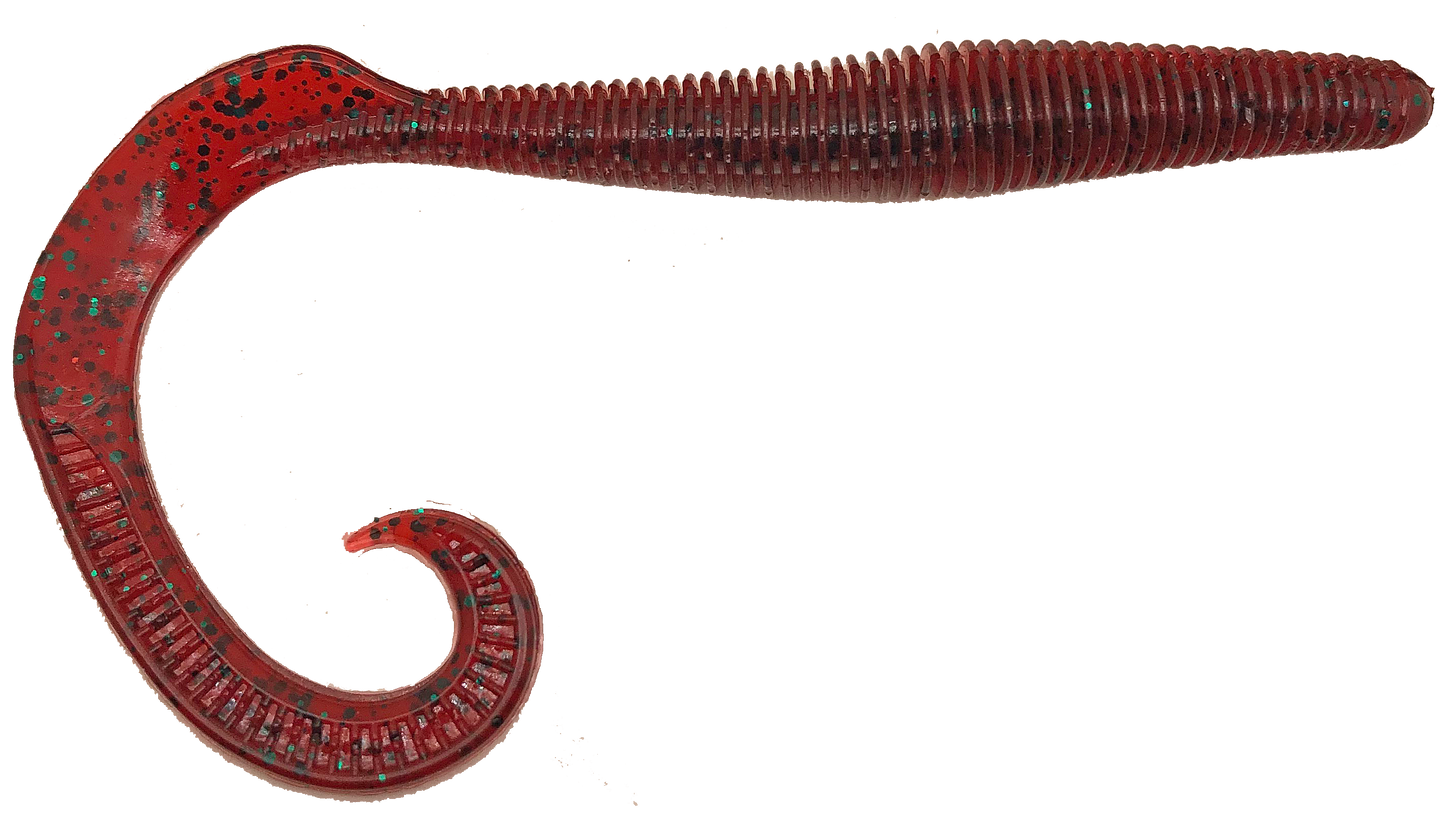 Megatail Rattlesnake - Tampa Home & Garden Store