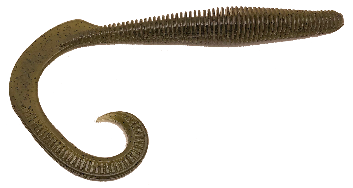 Megatail Rattlesnake - Tampa Home & Garden Store