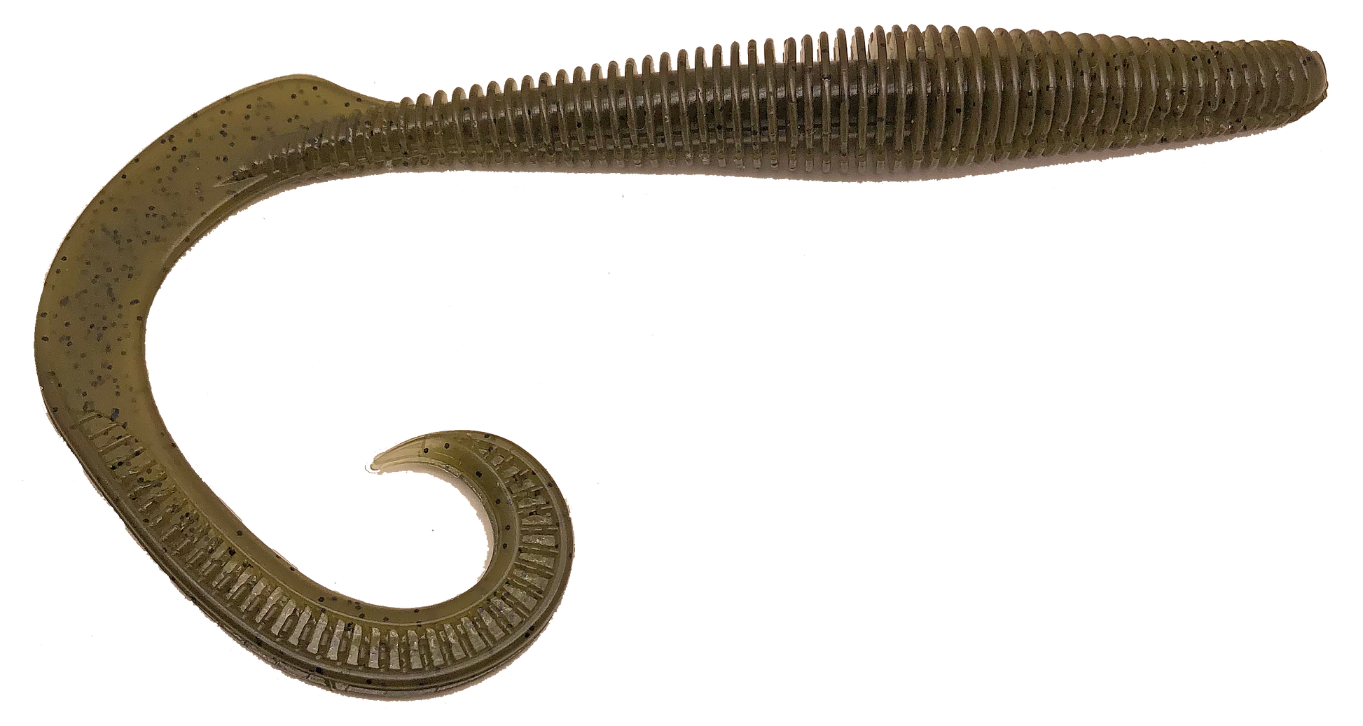 Megatail Rattlesnake - Tampa Home & Garden Store