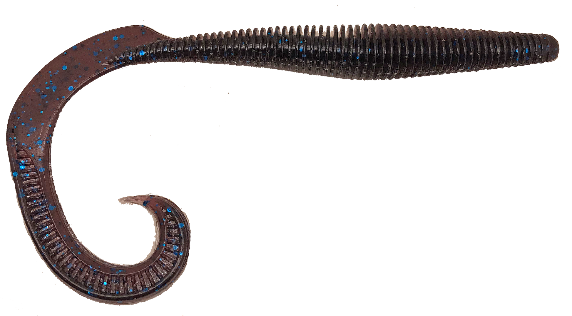 Megatail Rattlesnake - Tampa Home & Garden Store