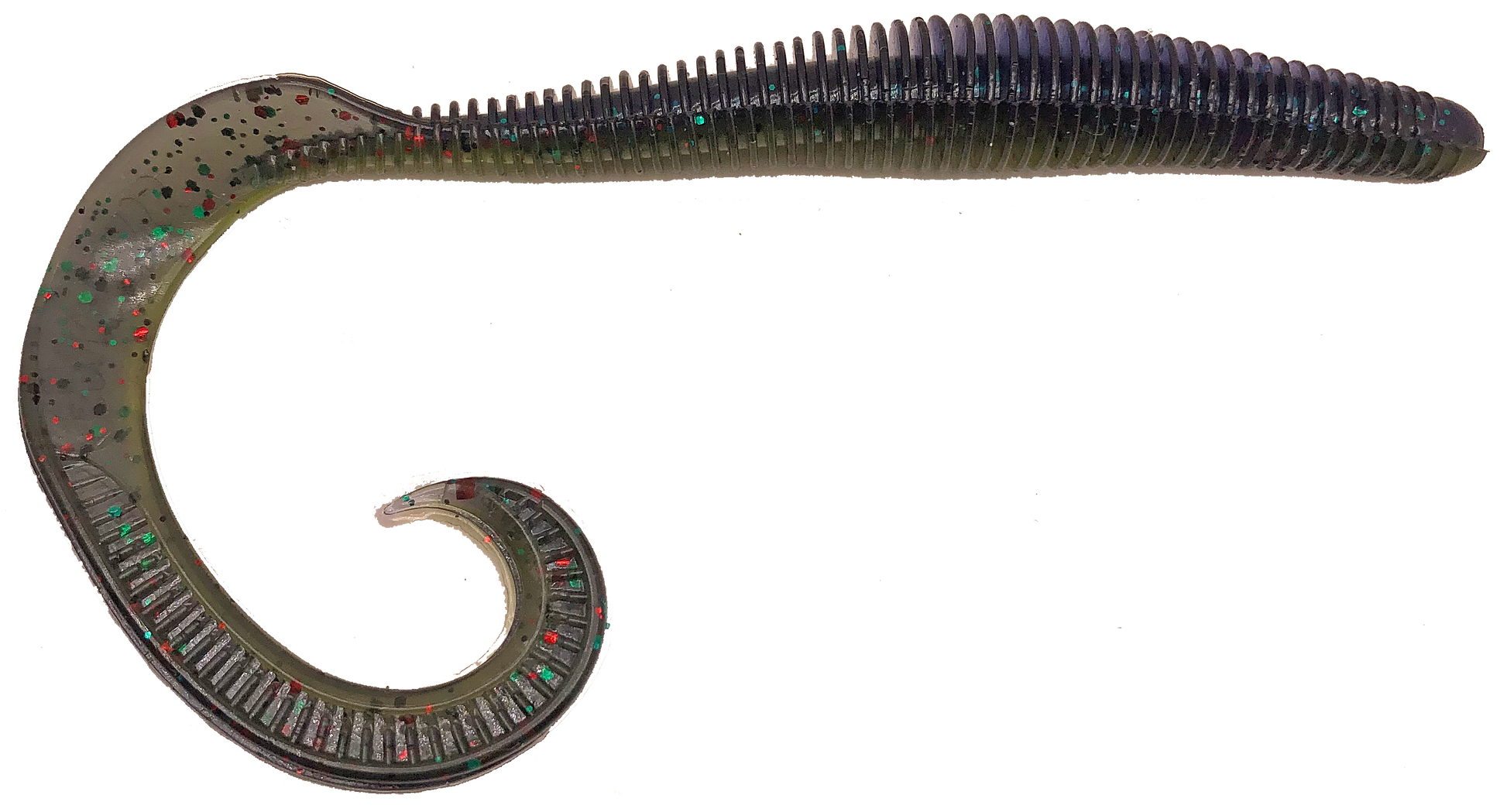 Megatail Rattlesnake - Tampa Home & Garden Store