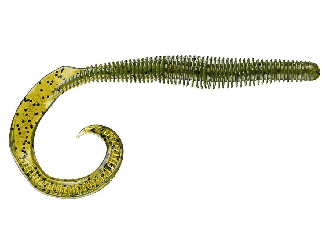 Megatail Rattlesnake - Tampa Home & Garden Store
