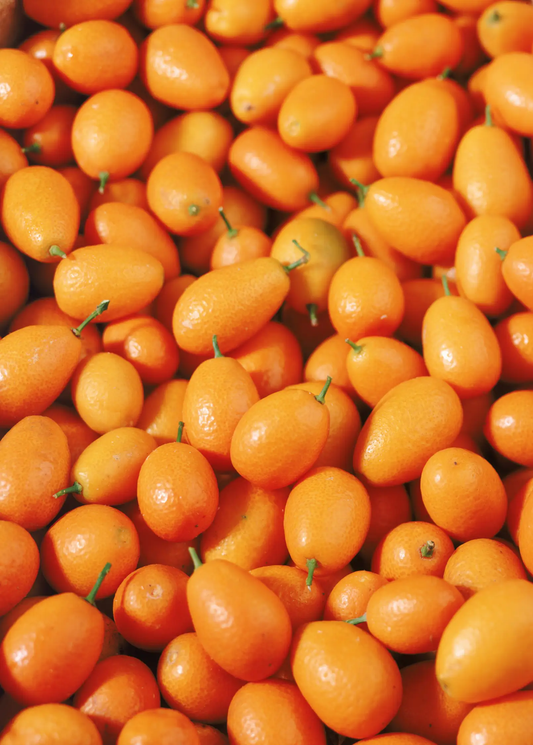 Meiwa kumquat fruits from Sow Exotic, bright orange small oval citrus with green stems on Tampa Home & Garden Store