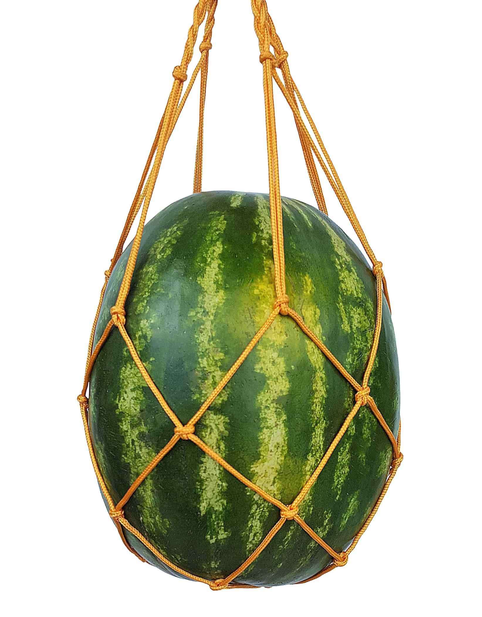 Melon Cradles Melon Hammock | Squash Cradles & Support - Tampa soil911.com