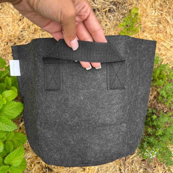Meme's Fabric Worm Bin - Tampa Home & Garden Store