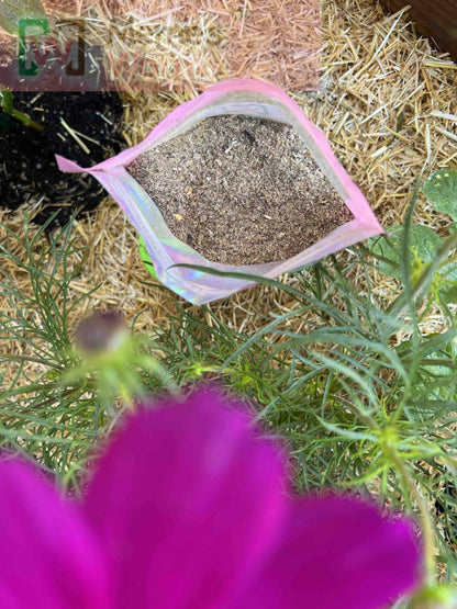 Meme's Premium Worm Chow (SC) - Tampa Home & Garden Store