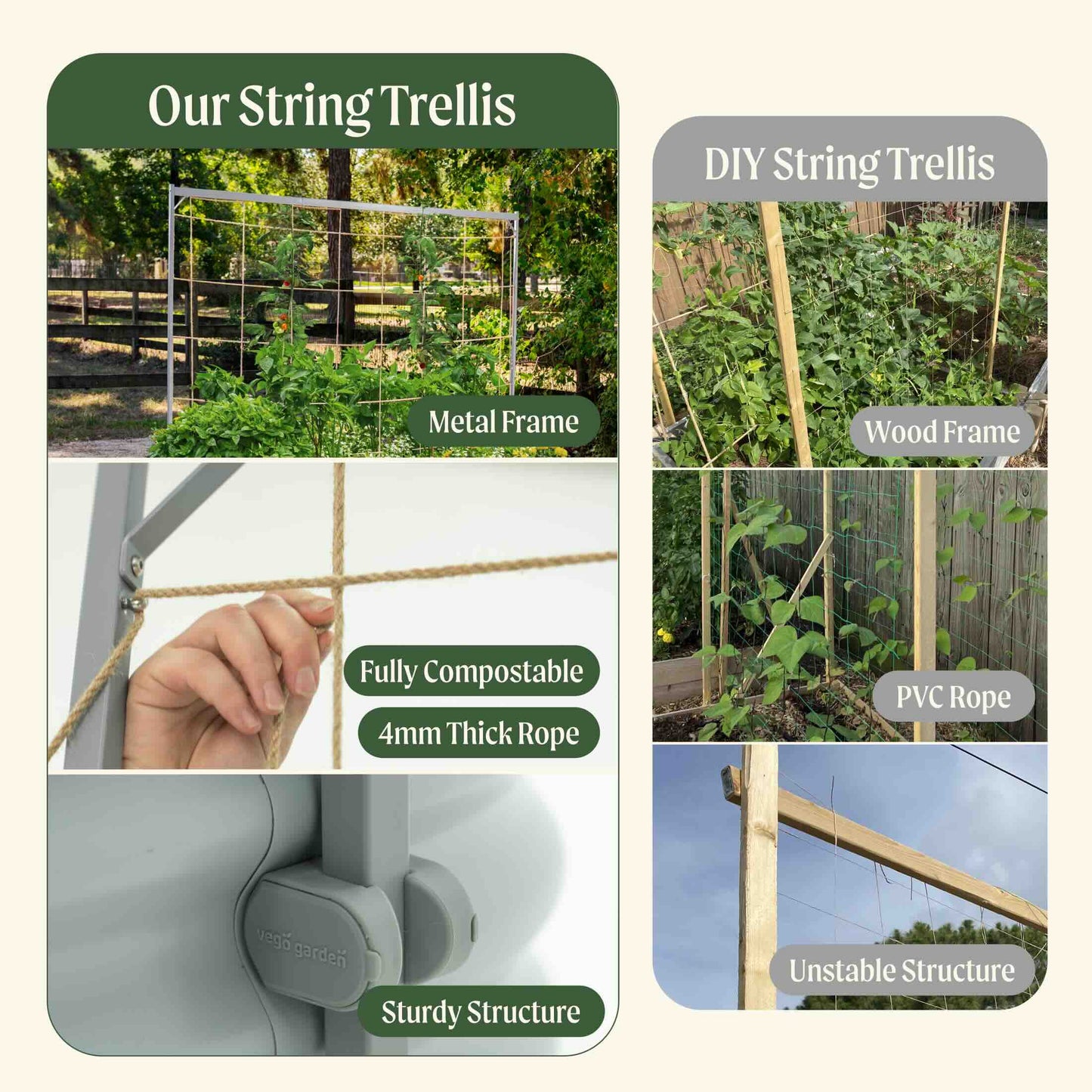 Metal Frame String Trellis - Tampa Home & Garden Store