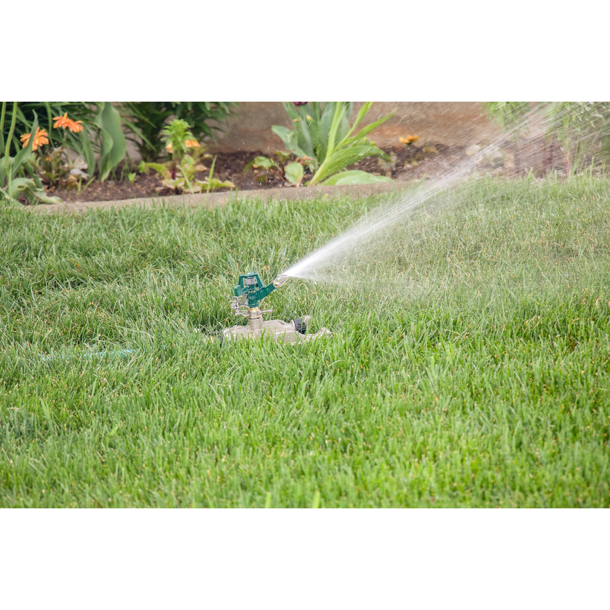 Hose End Pro Series Impact Sprinkler with Metal Sled Base green Orbit Irrigation sprinkler on Tampa Home & Garden Store