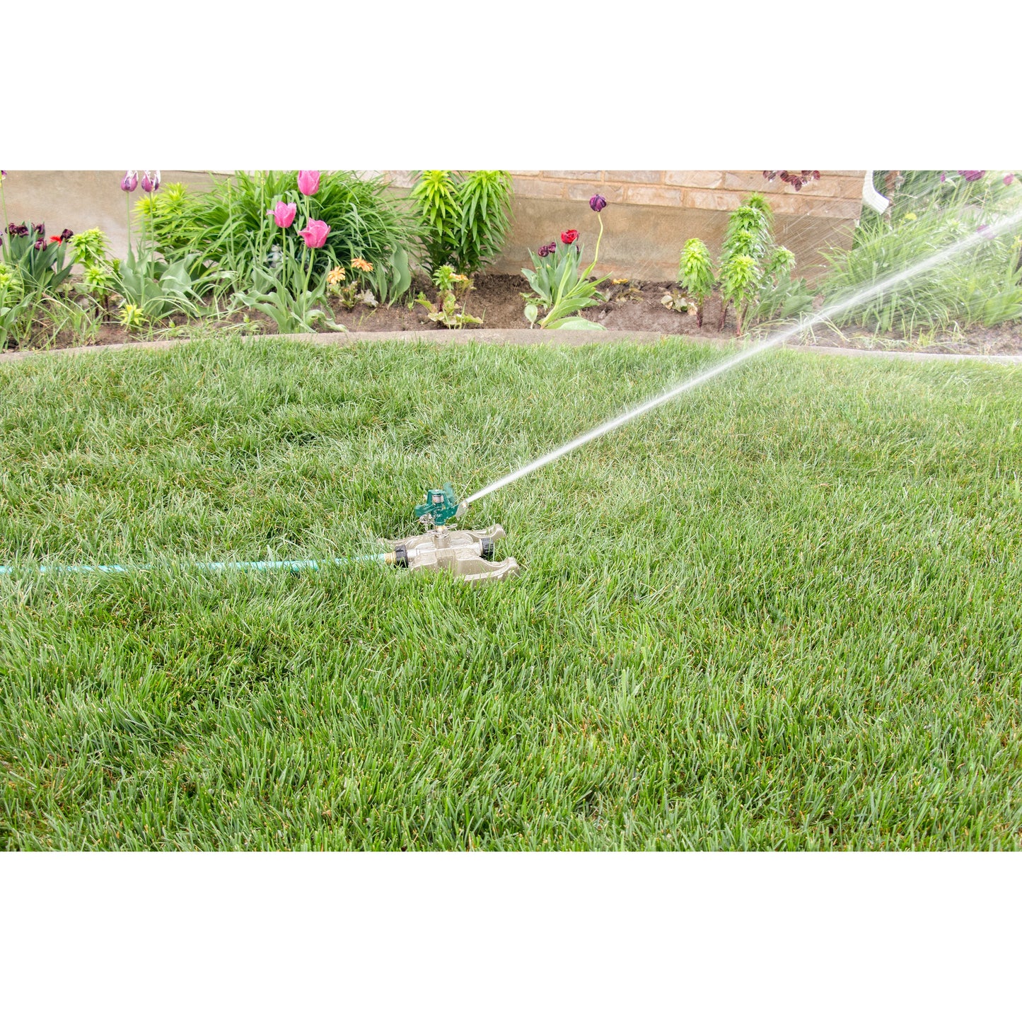 Pro Series Impact Sprinkler with metal sled base Orbit hose-end sprinkler sprays lawn on Tampa Home & Garden Store