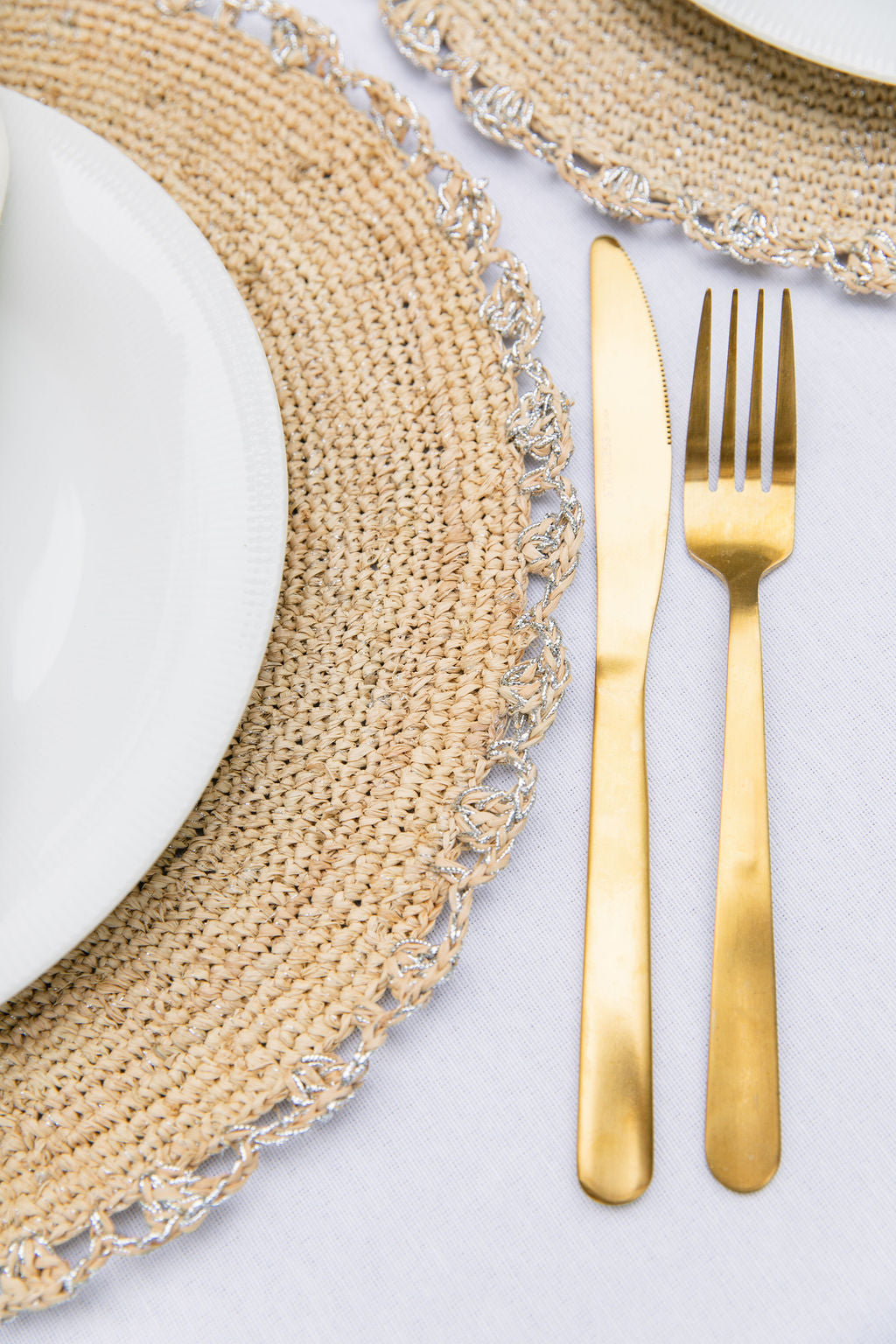 Metallic Aura placemat, Woven raffia tabletop - Tampa Home & Garden Store