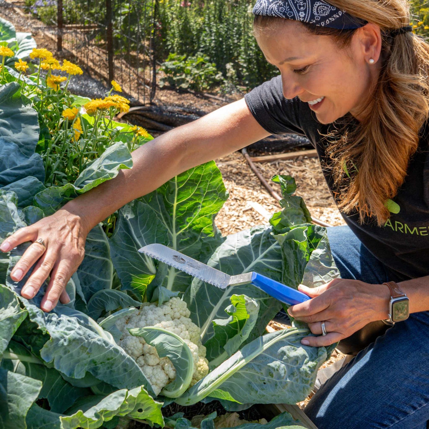 Harvest Knife for Spinach & Leafy Greens- Serrated