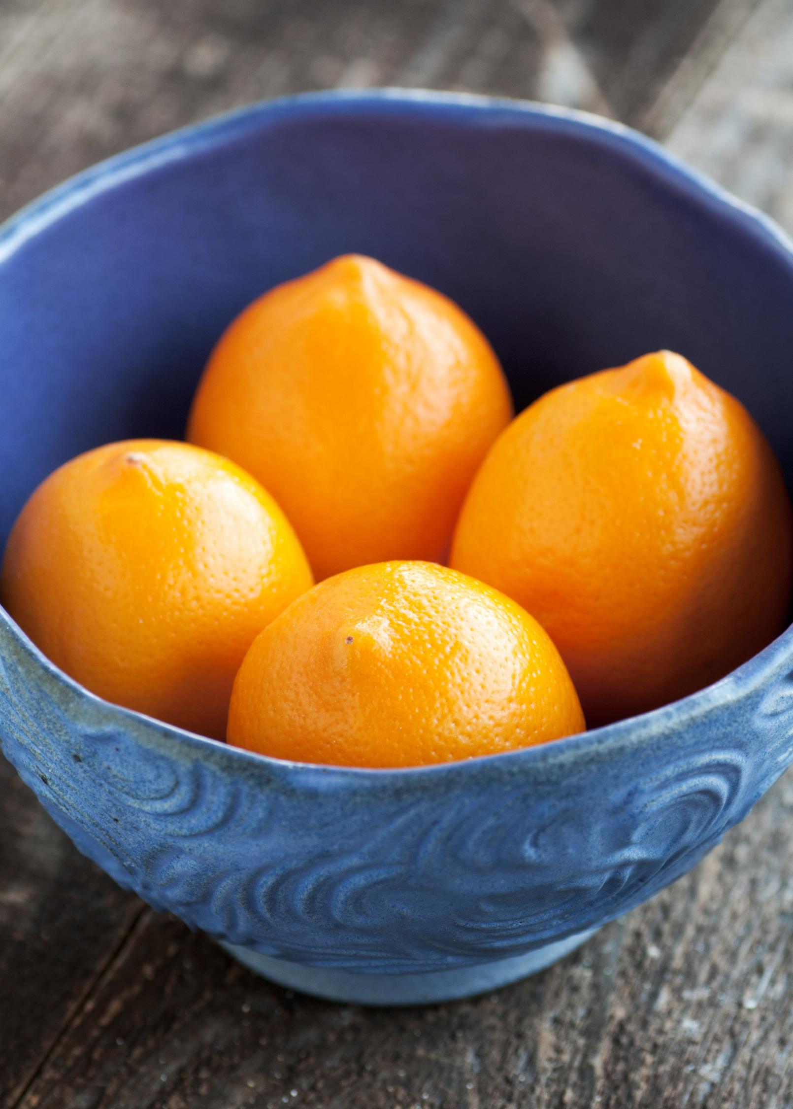 Meyer Lemon Tree (Citrus × meyeri) - Tampa Home & Garden Store