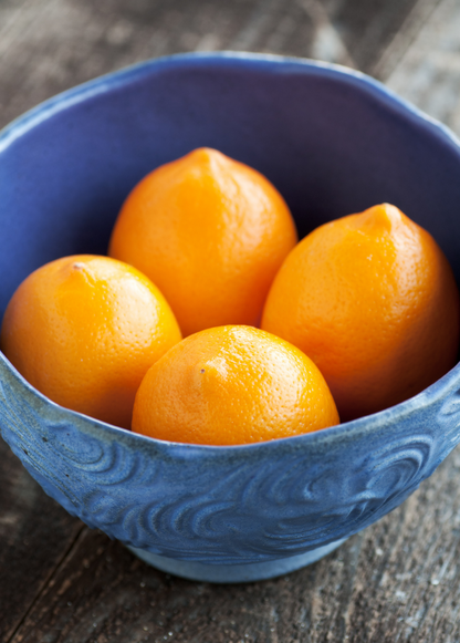 Meyer Lemon Tree (Citrus × meyeri) - Tampa Home & Garden Store