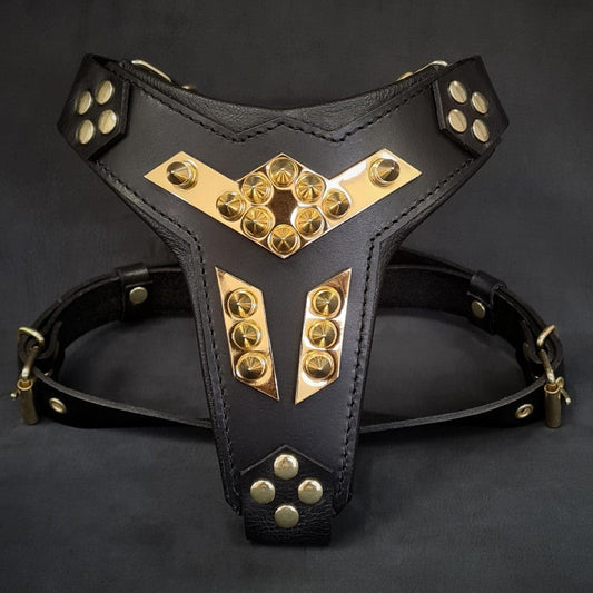 ''Midas'' leather dog harness gold medium size - Tampa Home & Garden Store