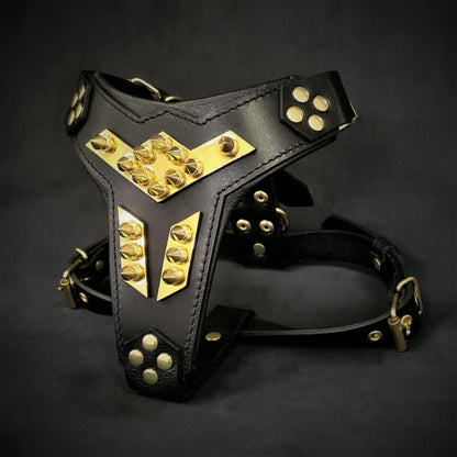 ''Midas'' leather dog harness gold medium size - Tampa Home & Garden Store
