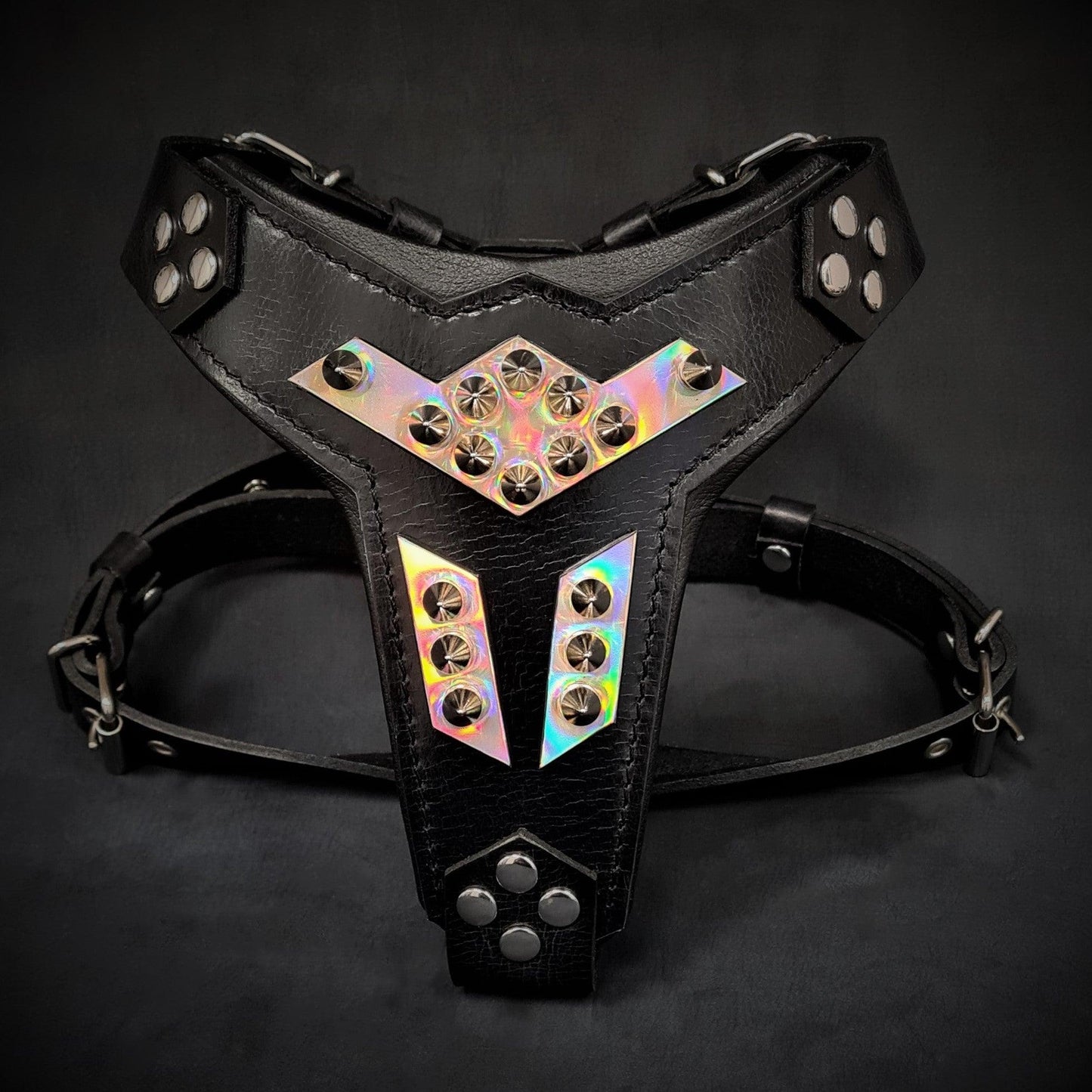 ''Midas'' leather dog harness silver medium size - Tampa Home & Garden Store