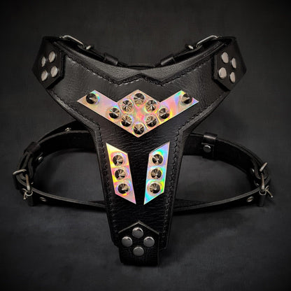 ''Midas'' leather dog harness silver medium size - Tampa Home & Garden Store
