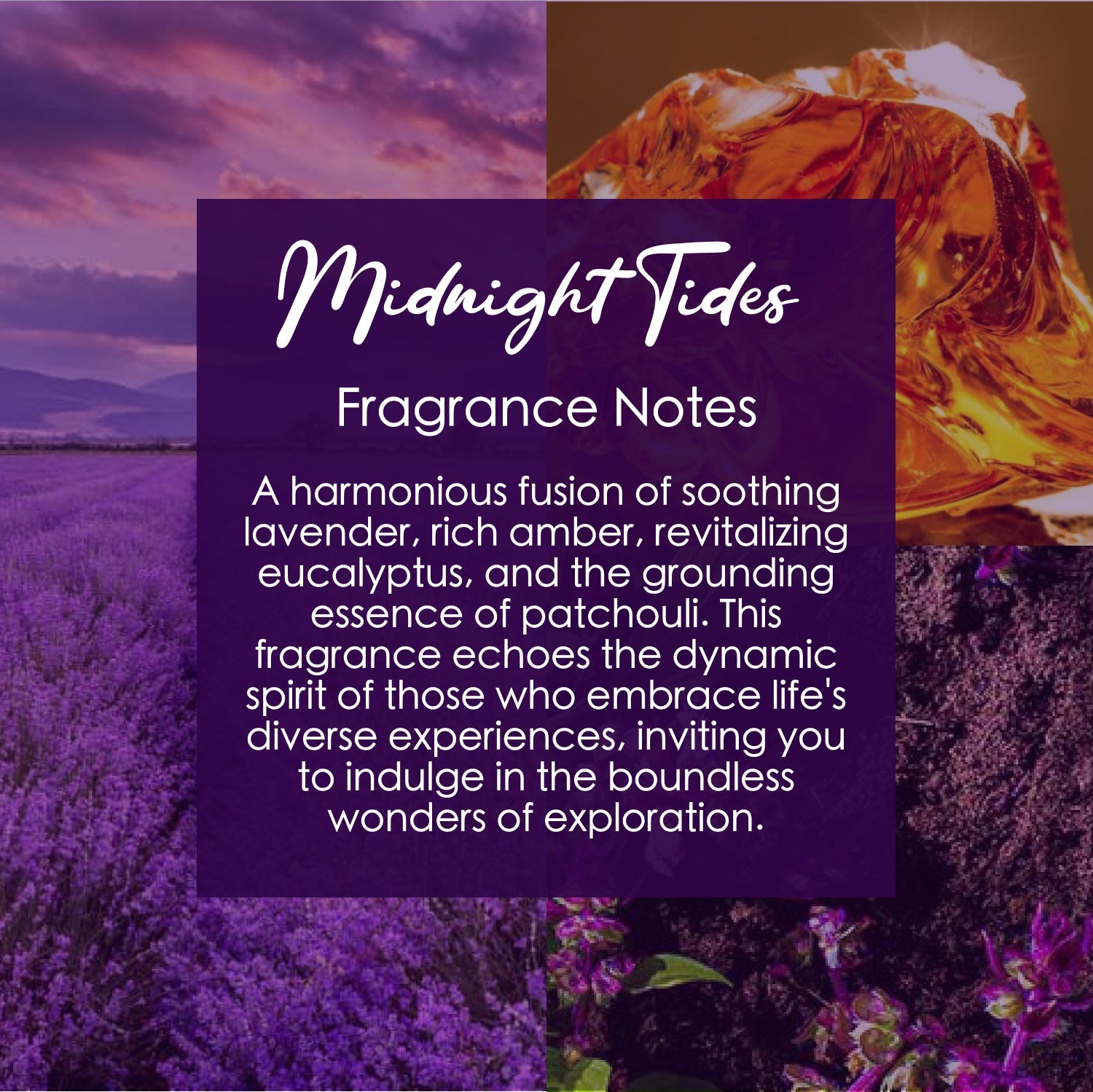 Midnight Tides Crystal-Enhanced Premium Coconut-Soy Wax Melts - Tampa Home & Garden Store