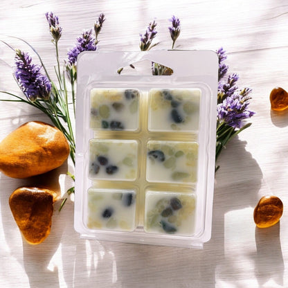 Midnight Tides Crystal-Enhanced Premium Coconut-Soy Wax Melts - Tampa Home & Garden Store