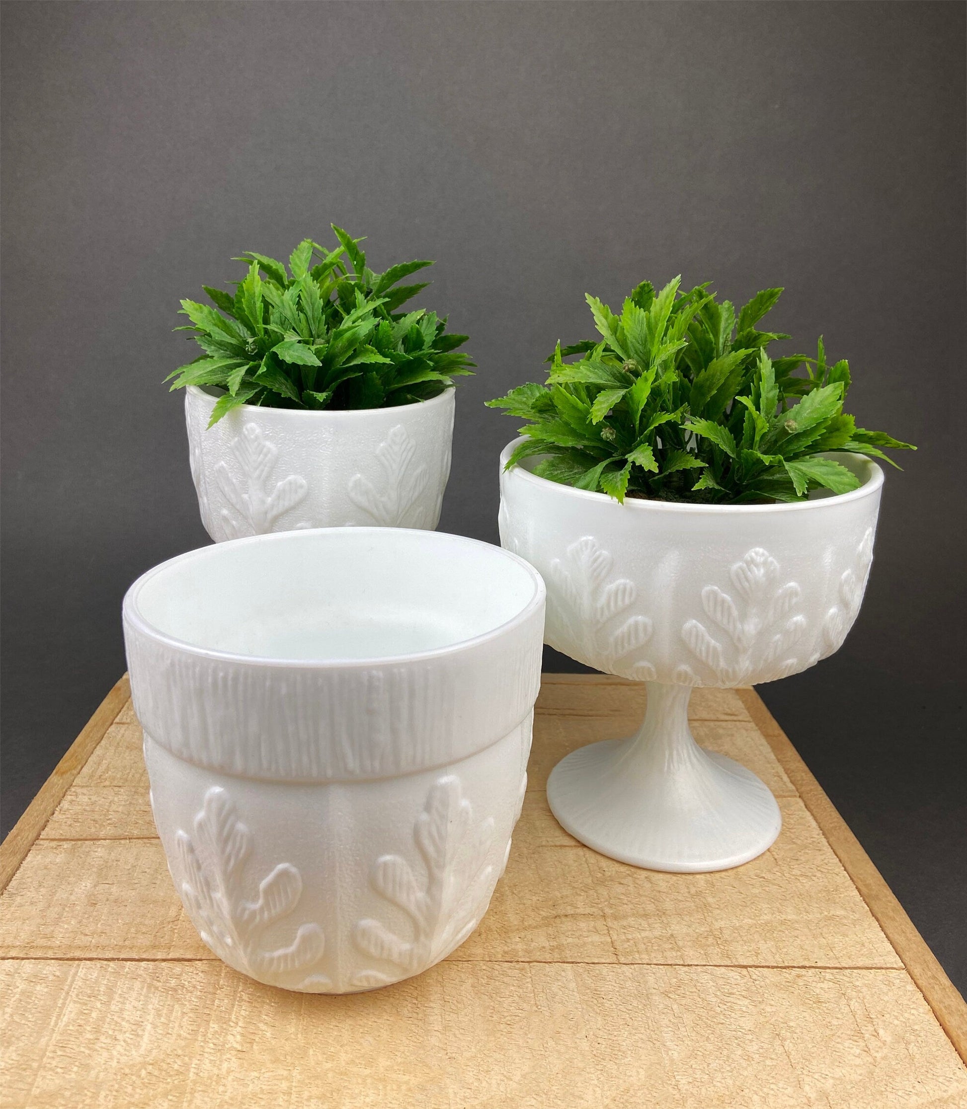 Milk Glass Oak Leaf Design Bowls. Set of Three Differently Shaped Vases. White Herb Planters. - Tampa Home & Garden Store