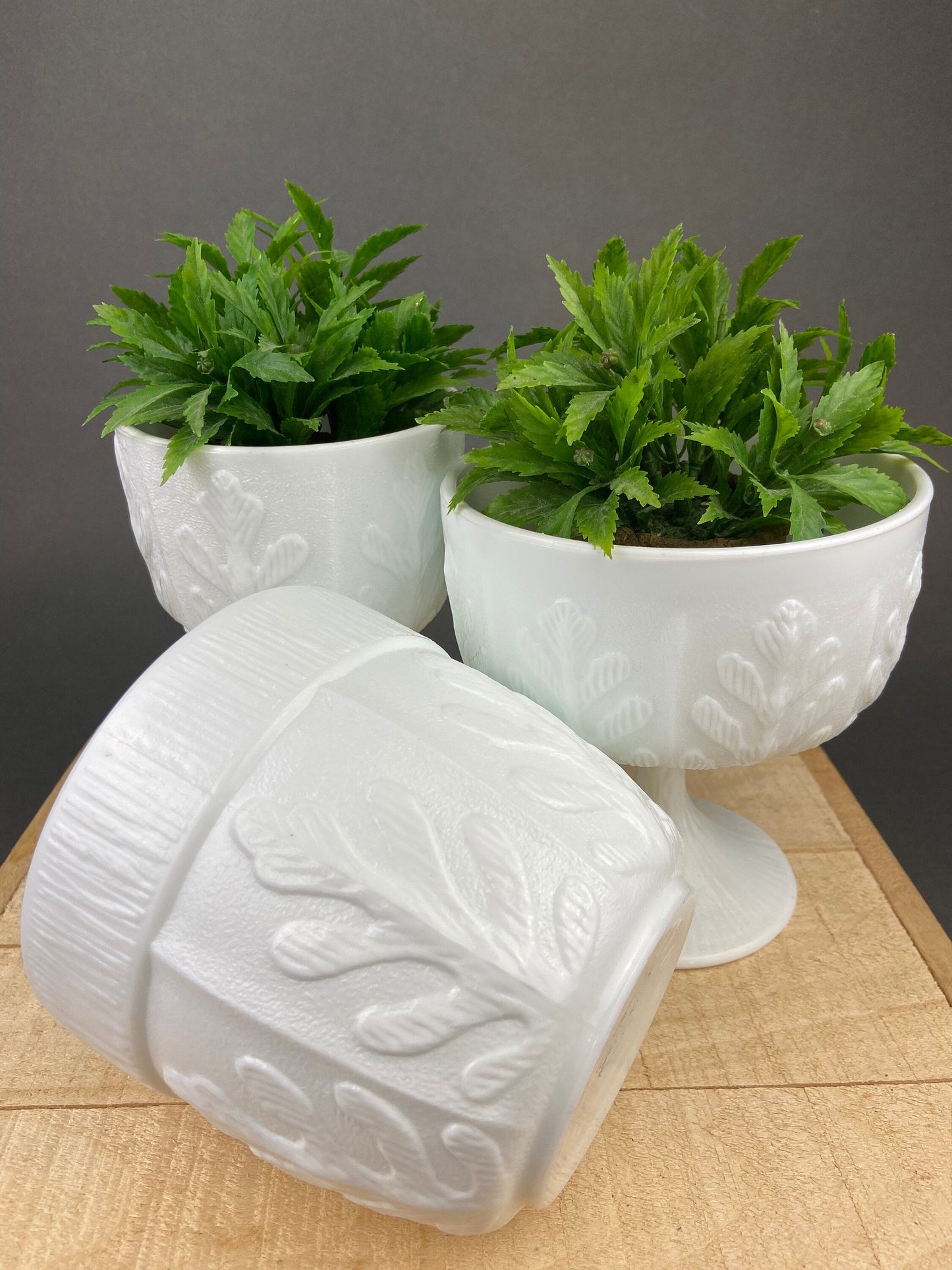 Milk Glass Oak Leaf Design Bowls. Set of Three Differently Shaped Vases. White Herb Planters. - Tampa Home & Garden Store