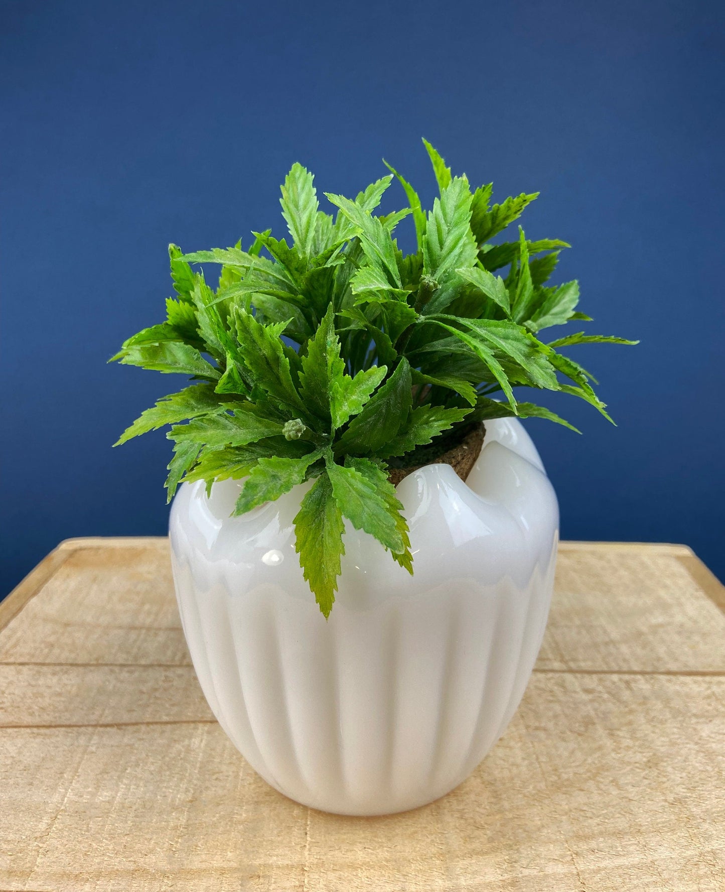 Milk Glass Planter or Vase. Vintage White Flower Pot with Ribbed Pattern and Pinched Rim. Window Sill Herbal Garden. - Tampa Home & Garden Store