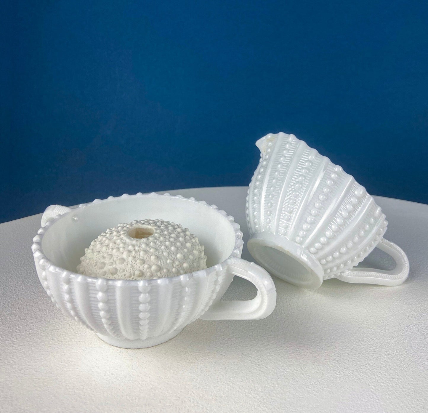 Milk Glass Sea-Urchins Creamer and Sugar. Nautical Themed White Serving Dishes/Accessories. Set of Two. Vacation, Tropical, 2nd Home. - Tampa Home & Garden Store