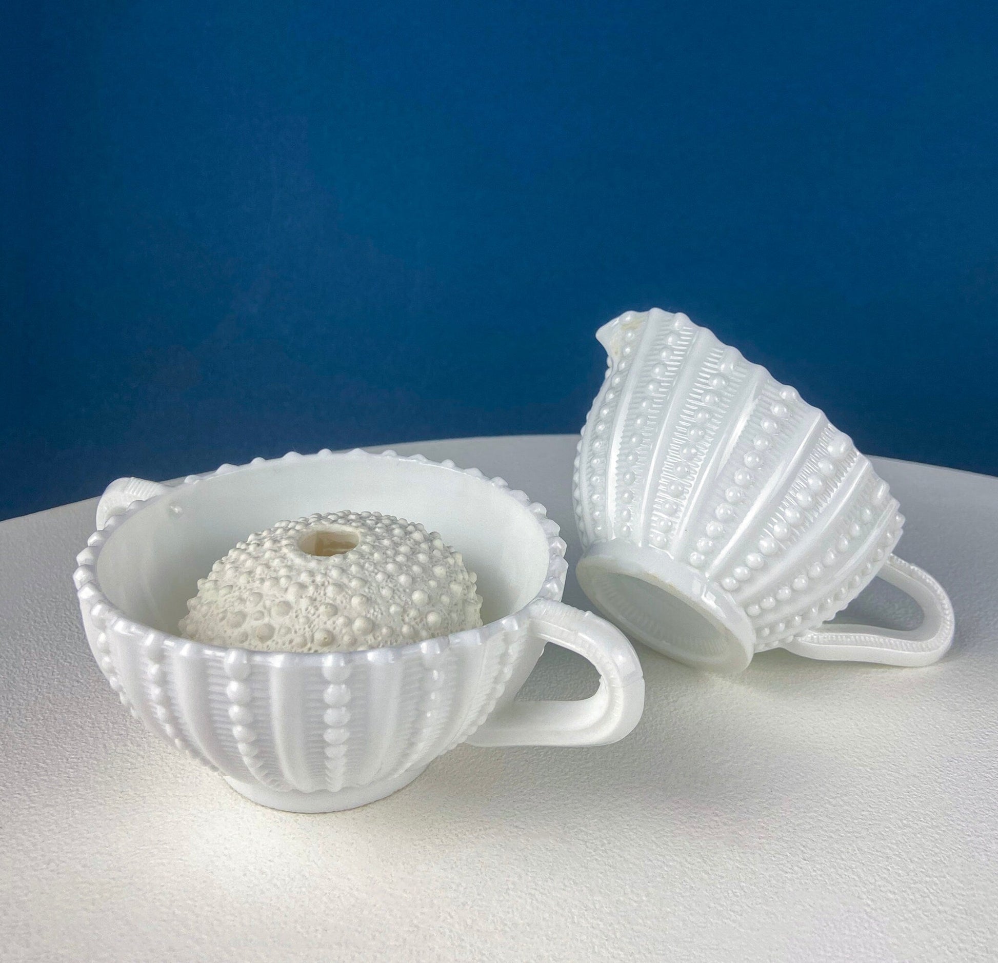 Milk Glass Sea-Urchins Creamer and Sugar. Nautical Themed White Serving Dishes/Accessories. Set of Two. Vacation, Tropical, 2nd Home. - Tampa Home & Garden Store