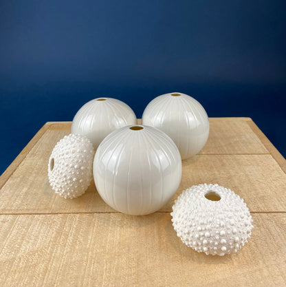 Milk Glass Sea-Urchins Creamer and Sugar. Nautical Themed White Serving Dishes/Accessories. Set of Two. Vacation, Tropical, 2nd Home. - Tampa Home & Garden Store
