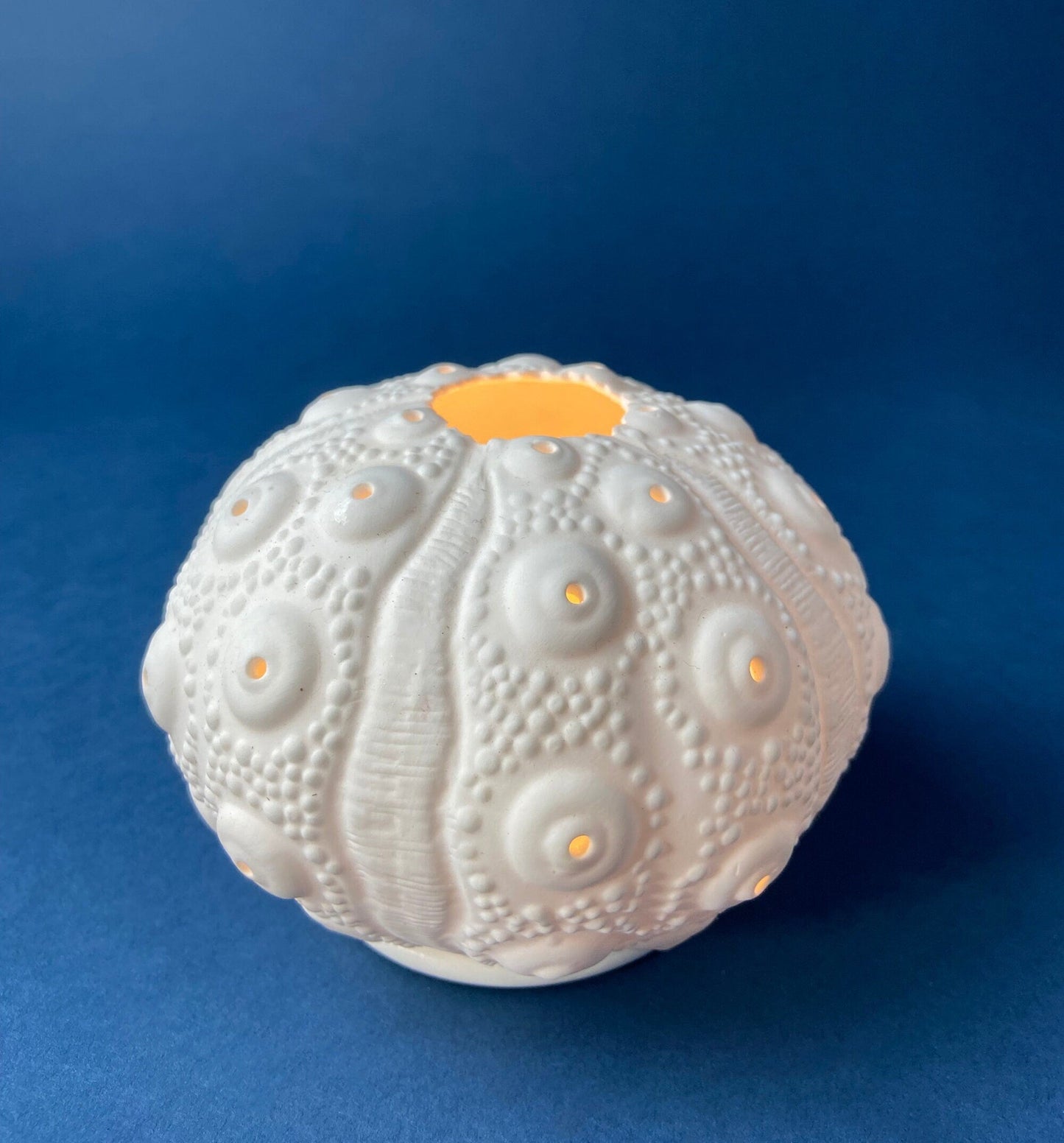 Milk Glass Sea-Urchins Creamer and Sugar. Nautical Themed White Serving Dishes/Accessories. Set of Two. Vacation, Tropical, 2nd Home. - Tampa Home & Garden Store