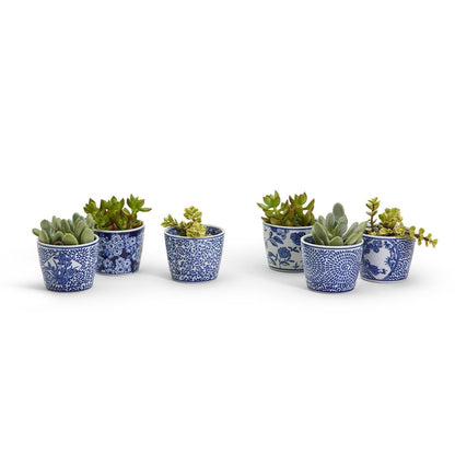 Mini Chinoiserie Cachepots - Tampa Home & Garden Store