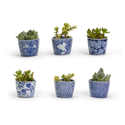 Mini Chinoiserie Cachepots - Tampa Home & Garden Store