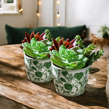 Mini Green Cachepots - Tampa Home & Garden Store