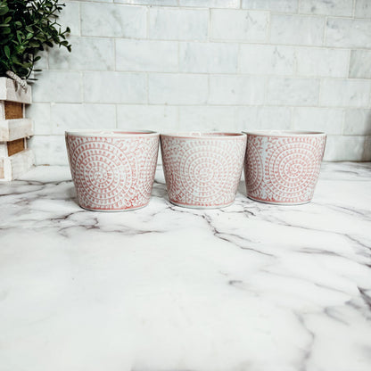 Mini Pink Cachepots - Tampa Home & Garden Store
