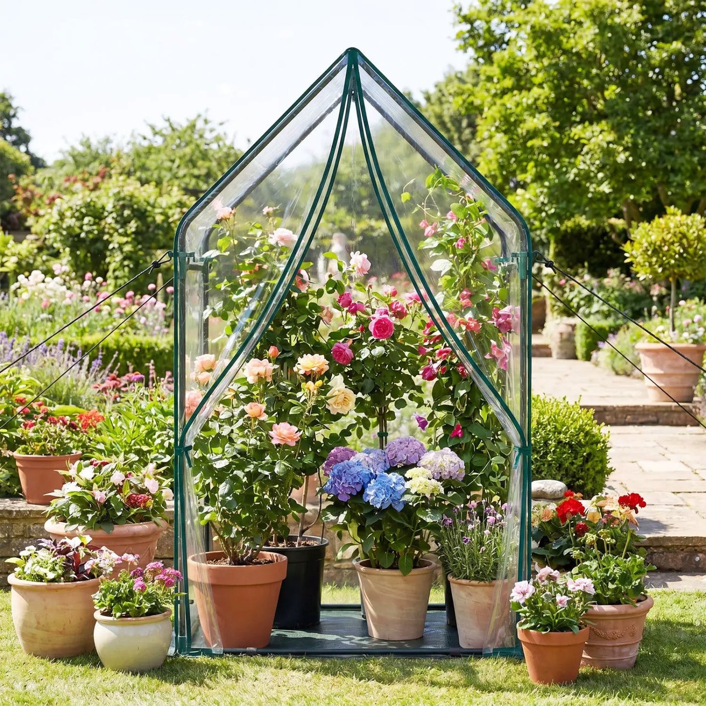 Mini Greenhouse With Metal Frame and Bottom Mat