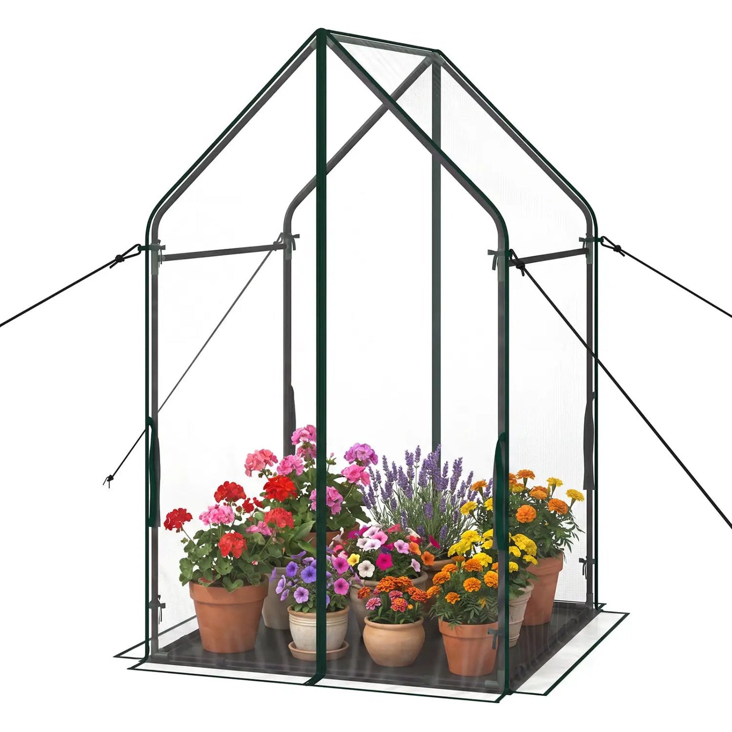 Mini Greenhouse With Metal Frame and Bottom Mat