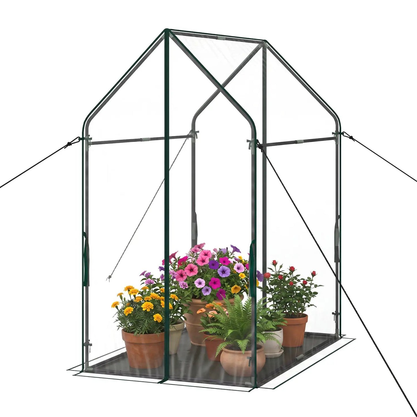 Compact Greenhouse with Metal Frame and Cover