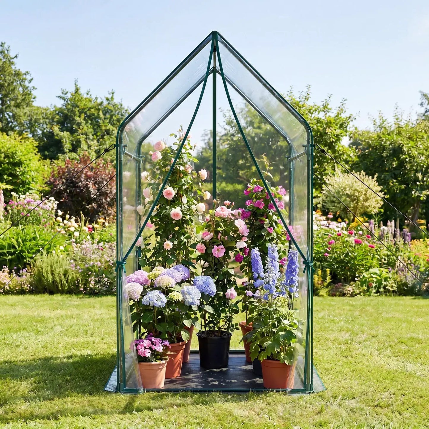 Compact Greenhouse with Metal Frame and Cover