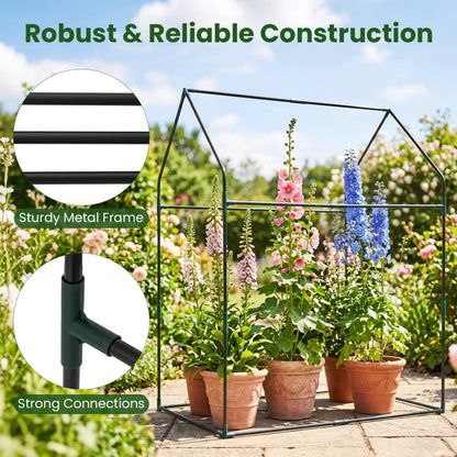 Compact Greenhouse with Metal Frame and Cover
