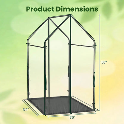Compact Greenhouse with Metal Frame and Cover