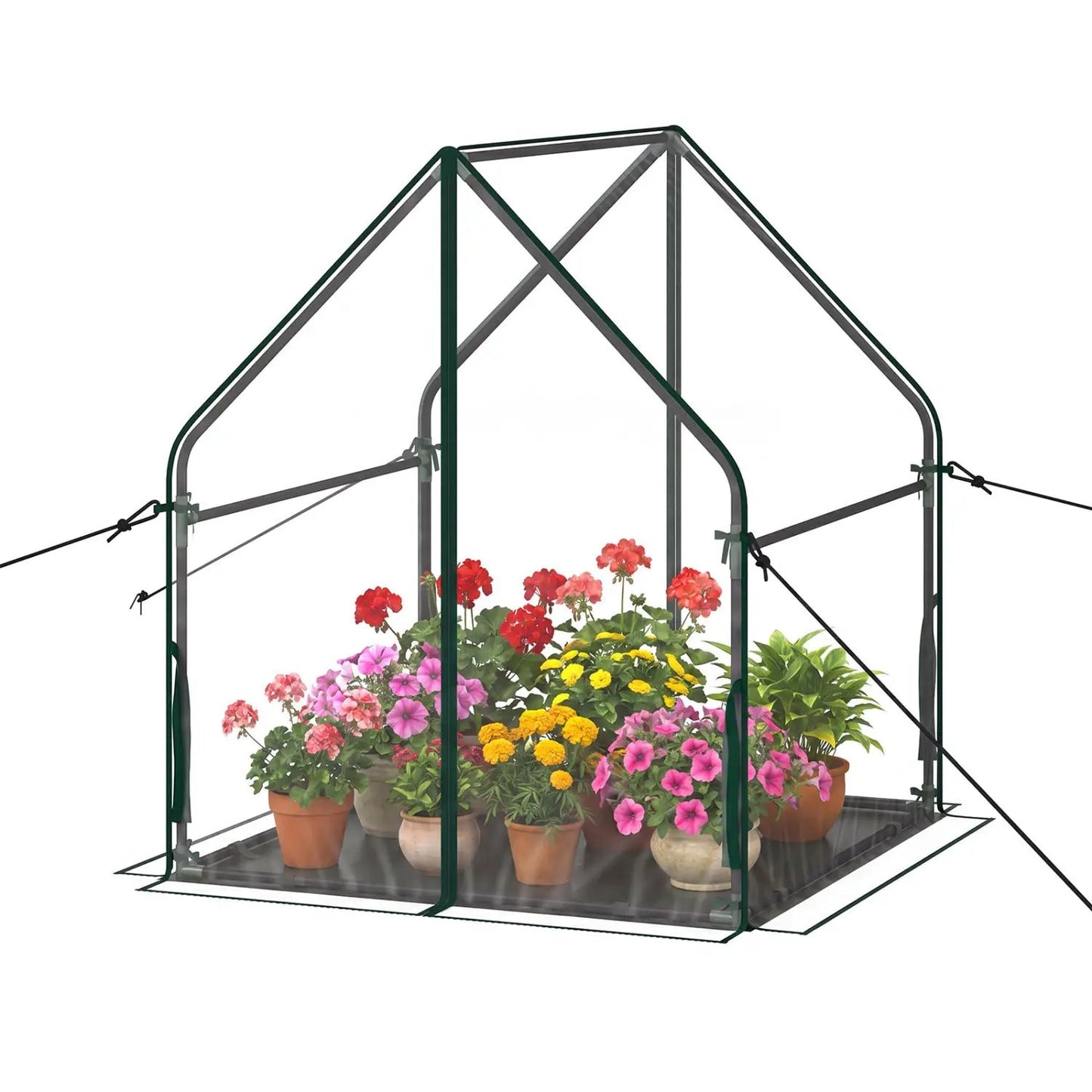 Compact Greenhouse with Metal Frame and Cover