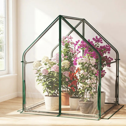 Compact Greenhouse with Metal Frame and Cover