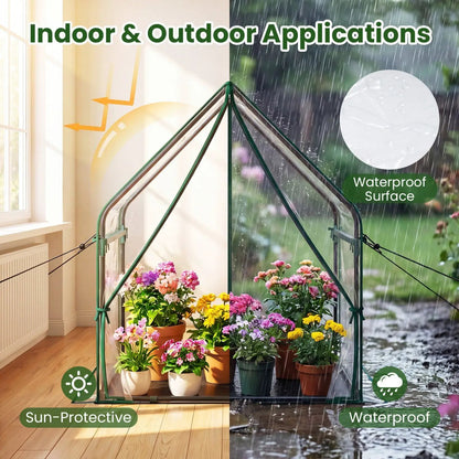 Compact Greenhouse with Metal Frame and Cover