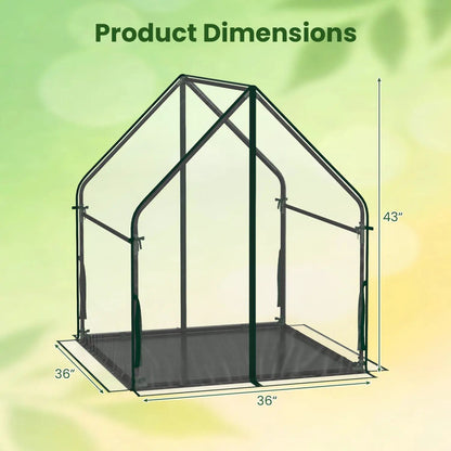 Compact Greenhouse with Metal Frame and Cover