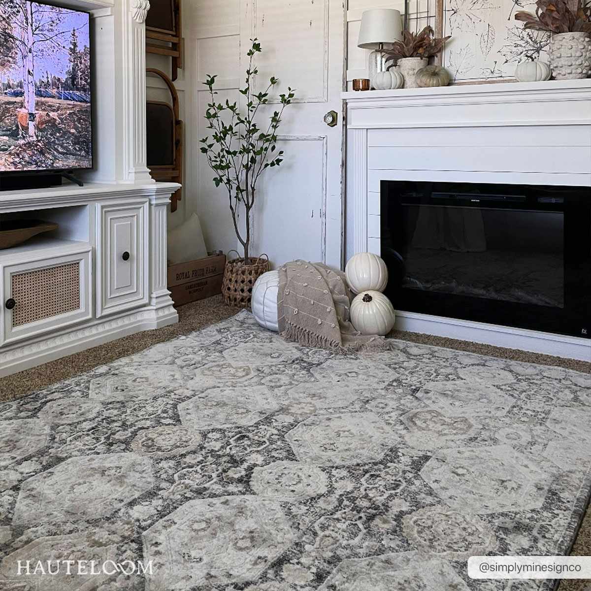 Minoa Area Rug gray ivory distressed medallion Boutique Rugs on Tampa Home & Garden Store
